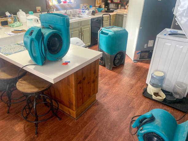 Best Professional water damage repair  in Fillmore, CA