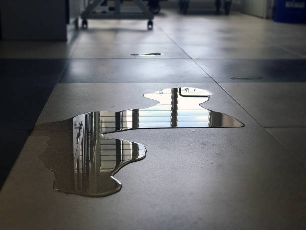 Best Water damage restoration process  in Fillmore, CA