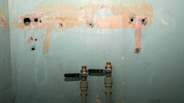 Best Water damage cleanup near me  in Fillmore, CA