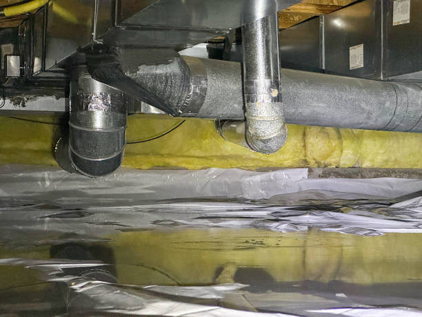 Best Professional water damage repair  in Fillmore, CA