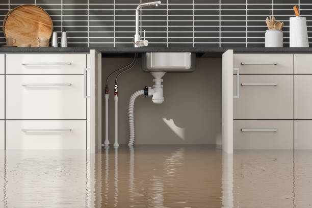 Best Fire Damage Restoration  in Fillmore, CA