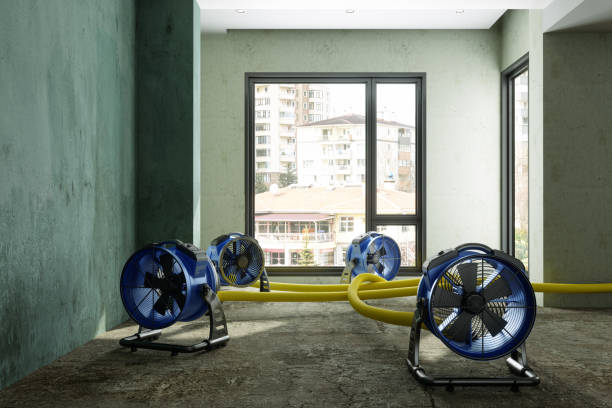 Best Sewage cleanup and water damage restoration  in Fillmore, CA